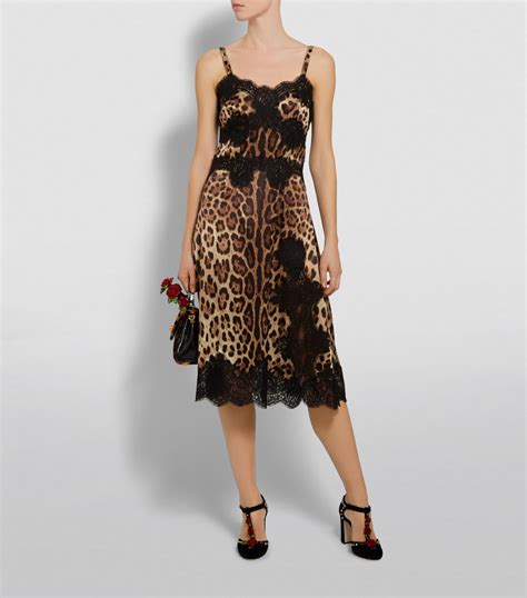 dolce gabbana leoperod print with lace|dolce and gabbana leopard dress.